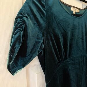 Emerald Green Velvet Fat Face Dress